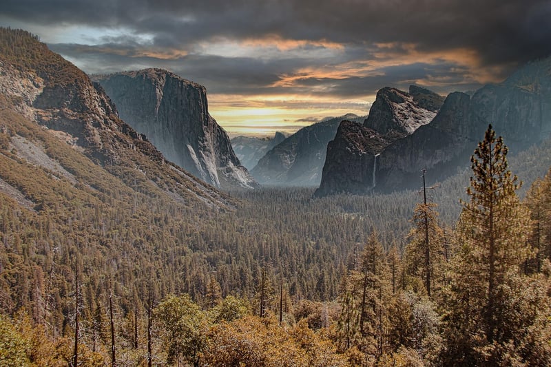 Sequoia National Park